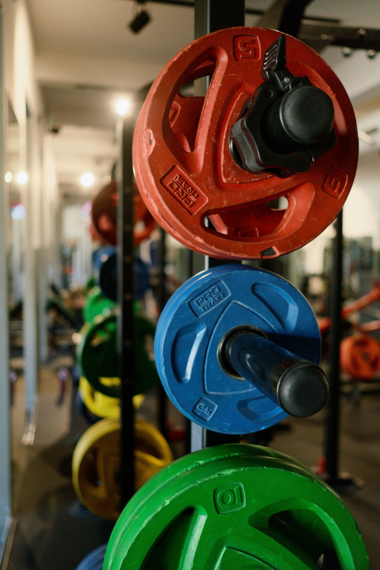 Free Weights