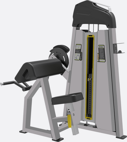 CE - 3030 Bicep / Camber Curl