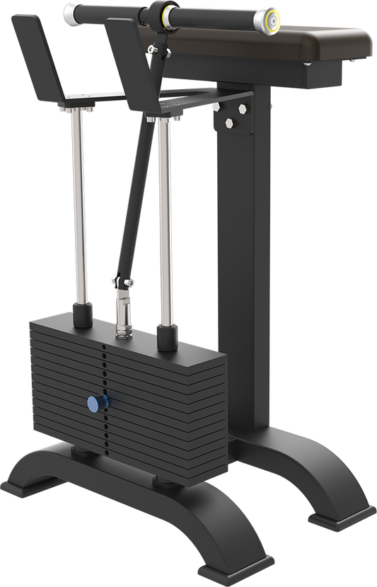 CTB - 69 Fore Arm / Wrist Curl